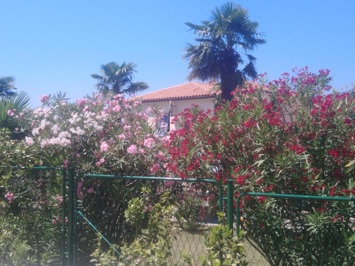 Apartments Elda Poreč Zewnętrze zdjęcie