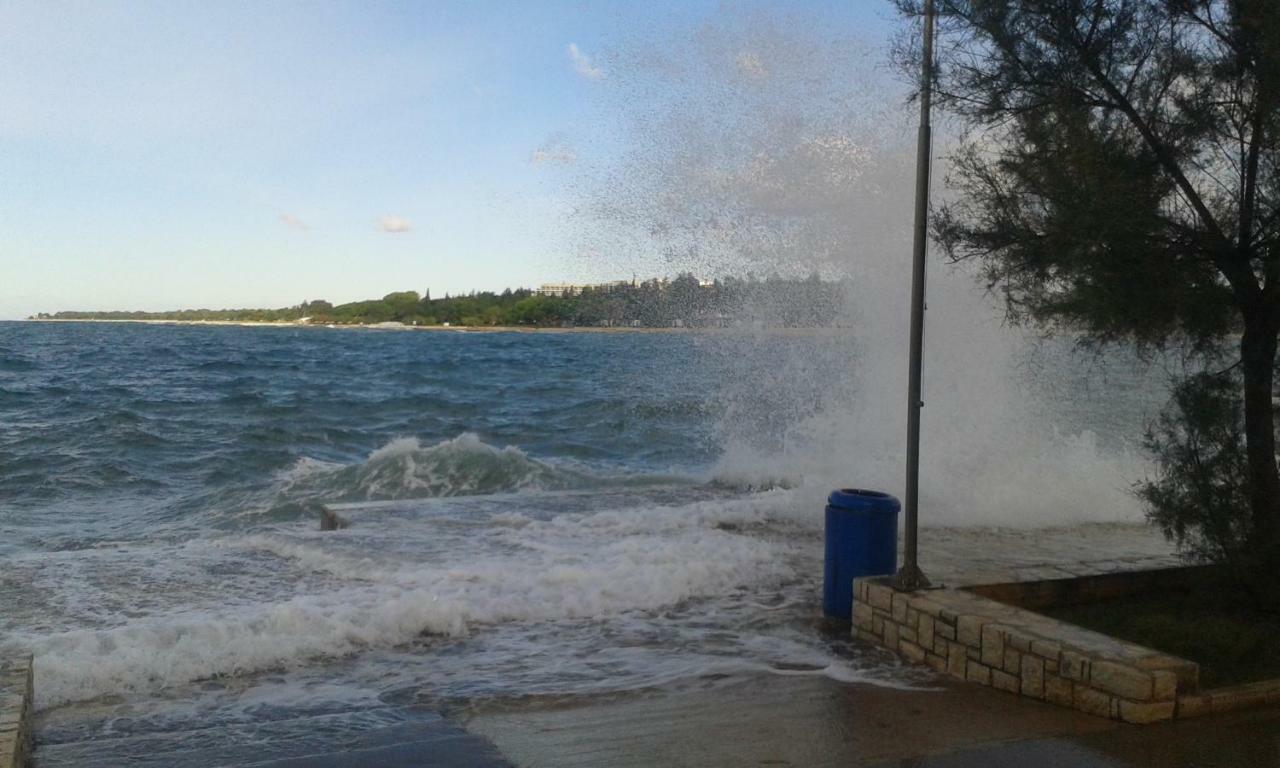 Apartments Elda Poreč Zewnętrze zdjęcie